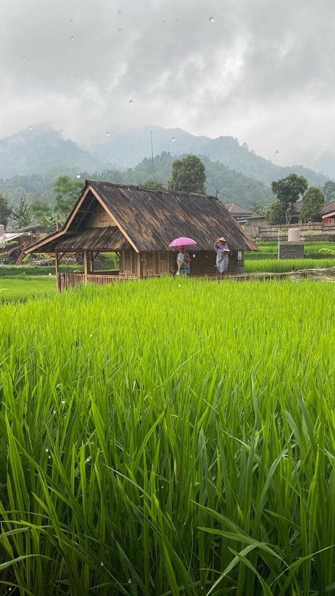 Menikmati Syahdunya Pedesaan Sunda di Lembur Singkur Purwakarta, Bikin Betah