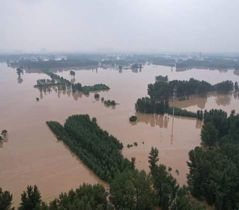 Genangan banjir juga telah merusak perkebunan jagung di sebuah desa yang terdampak banjir setelah hujan lebat akibat BAdai Doksuri di Zhuozhou, kota Baoding, di provinsi Hebei.