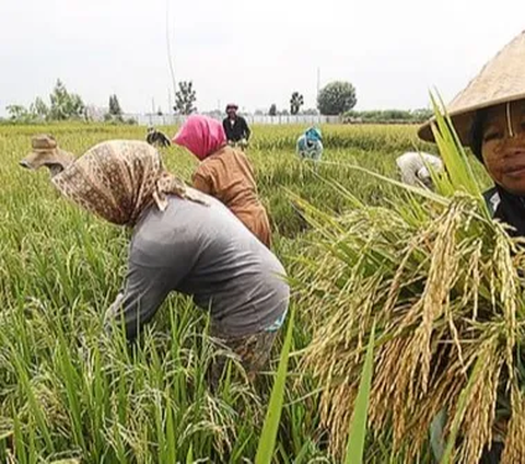 Pupuk Indonesia Kini Punya Aplikasi Anti-Fraud Terhubung Langsung ke KPK, Begini Cara Kerjanya