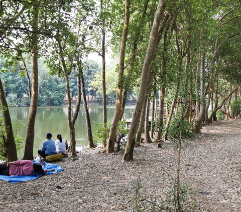 Kawasan Ekowisata Mangrove Pantai Indah Kapuk (PIK) memiliki daya tarik yang unik bagi para wisatawan.<br /><br />Kawasan ini diketahui memiliki luas lahan 95,50 hektar yang terbagi menjadi empat wilayah.