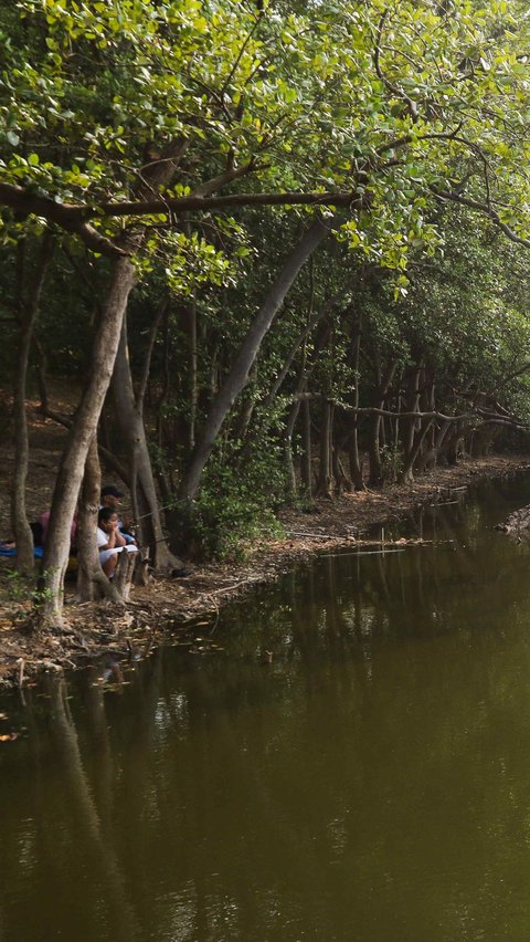 Ekowisata Mangrove PIK terbagi menjadi empat kawasan dikarenakan akibat terbelah oleh jalur hijau Jalan Tol Sedyatmo.