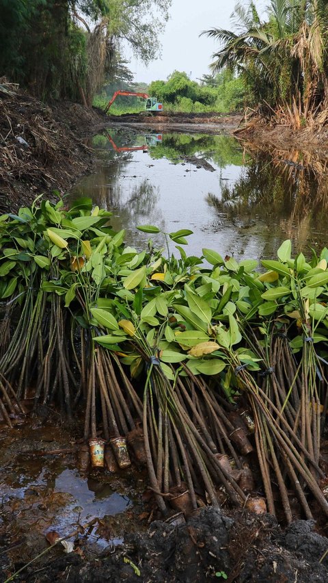 Caranya dengan mendaftar terlebih dahulu ke Dinas Pertamanan dan Hutan Kota DKI Jakarta.