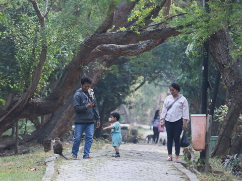 FOTO: Serunya Ekowisata Mangrove di Pantai Indah Kapuk, Pengunjung Bisa Memancing, Menanam Pohon hingga Berinteraksi dengan Hewan Endemik