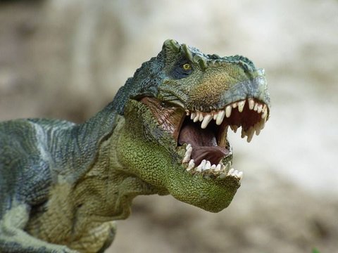 Jutaan Tahun Lalu, Ada Ular yang Doyan Banget Makan Bayi Dinosaurus