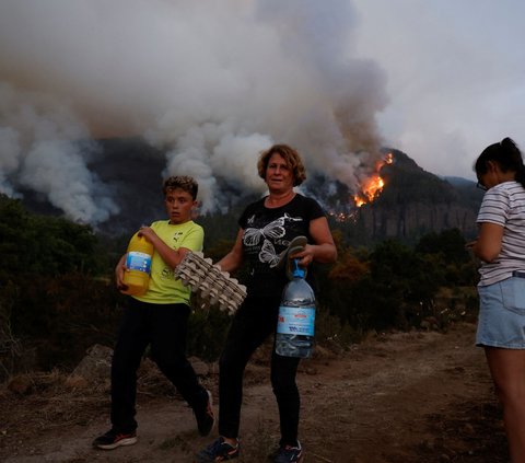 Diketahui, kebakaran hutan yang melanda Pulau Tanarife, Spanyol ini telah berlangsung selama empat hari. <br /><br />Kini keadaannya semakin parah dan bahkan ancaman Pulau Tanarife sampai hangus terbakar dan rata dengan tanah bisa saja terjadi.