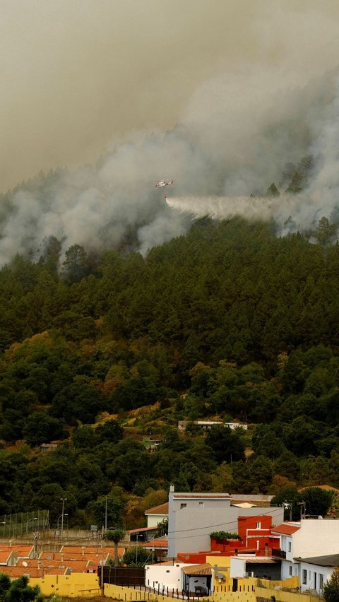 Musibah kebakaran ini telah menghanguskan lima ribu hektar lahan hutan, termasuk lingkungan taman alam terbesar Pulau Canary, Spanyol.