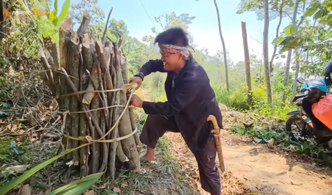 Meski sudah terkenal, Encuy tak meninggalkan kebiasaannya saat berada di kampung halaman. Dia pun tampak mengangkut kayu-kayu bakar di atas bahunya.