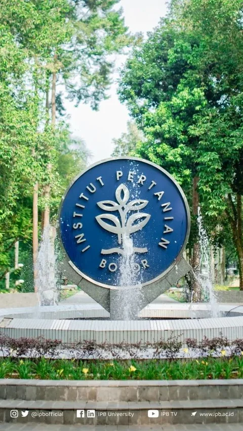 IPB Bentuk Tim Khusus Investigasi Kebakaran Laboratorium Tewaskan Mahasiswa S2