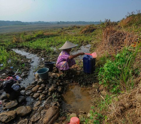 FOTO: Nestapa Warga Bogor Dilanda Krisis Air Bersih, Sudah Dua Bulan Mengandalkan Sumber Air Mirip Kubangan di Tengah Sawah