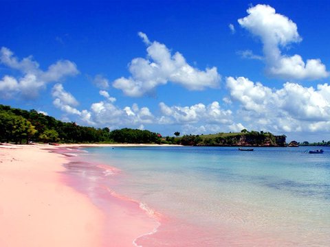 5. Pantai Pink, Komodo