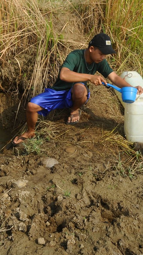 Mereka mengaku sudah lebih dari dua bulan ratusan warga di kampung ini hanya mengandalkan sumber air  yang mirip kubangan untuk memenuhi kebutuhan sehari-hari dan air minum.