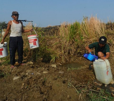 Bantuan air dari dinas terkait masih terbatas.<br /><br />Menurut pengakuan warga, bantuan air bersih hanya datang sepekan sekali dan langsung habis pada hari pembagian.