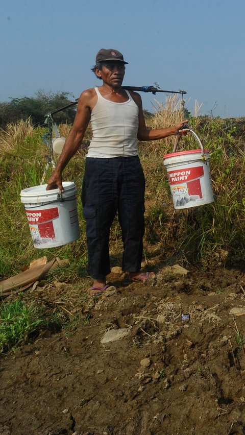 Warga memikul dua ember saat akan mengambil air pada sumber air tersisa di tengah sawah di Kampung Rawa Bogo Kaler, Bogor.