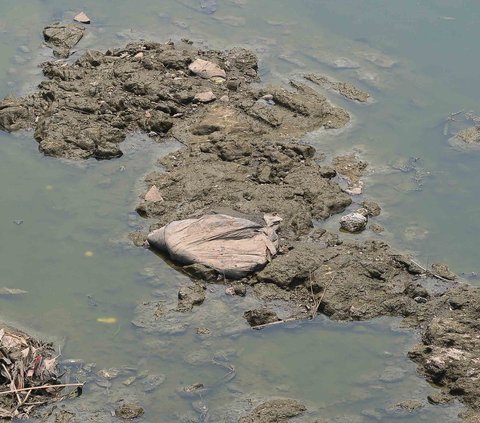 Aliran Kanal Banjir Timur sepanjang Rawa Bebek, Jakarta, Senin (21/8/2023) mengalami penyusutan volume air yang ekstrem.<br /><br />Kondisinya yang hampir kering membuat bagian dasar sungai pun terlihat.