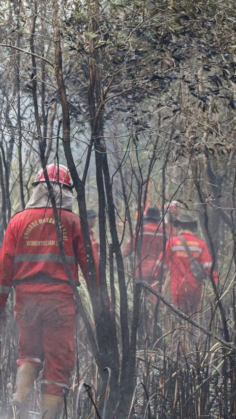 Bikin Geleng-Geleng, Luas Lahan Terbakar di OKI Sumsel 8 Kali Lipat Luas dari Tahun Lalu