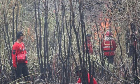 Bikin Geleng-Geleng, Luas Lahan Terbakar di OKI Sumsel 8 Kali Lipat Luas dari Tahun Lalu