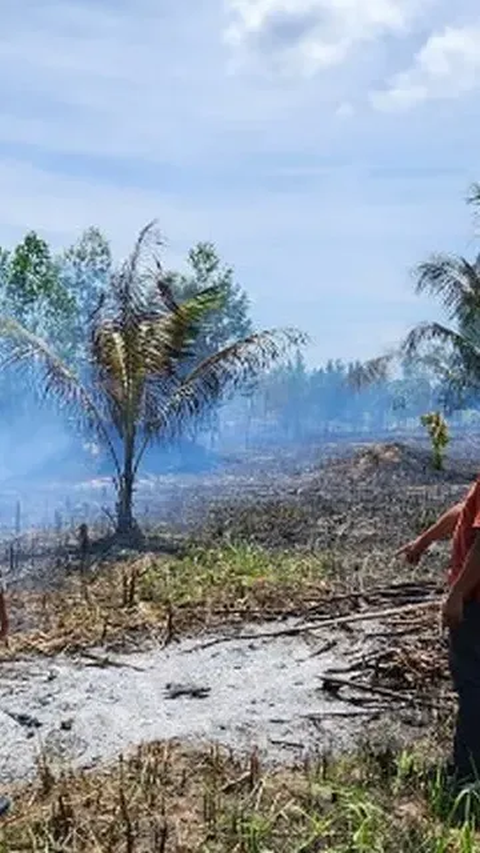 Seperti diketahui, El Nino membuat musim kemarau lebih panjang dari tahun sebelumnya. Kondisi