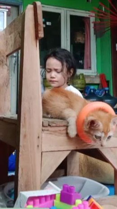 Ibunya Menyelamatkan Kucing, Reaksi Bocah Ini Curi Perhatian