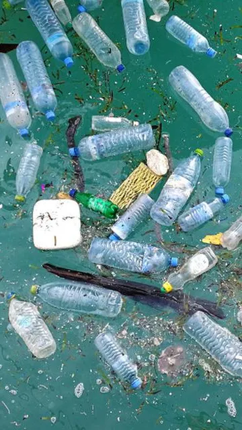 80 Persen Sampah Plastik di Lautan Berasal dari Negara Kemiskinan Tinggi