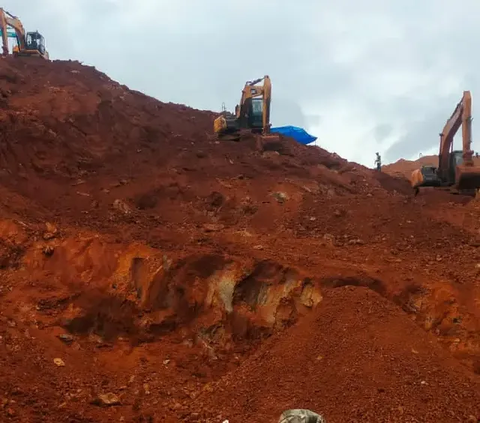 Perusahaan Tambang Wajib Jaga Lingkungan Pertambangan, Ini Tujuan Sebenarnya