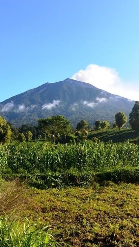 Gunung Kerinci, mahakarya alam yang menjulang megah di Pulau Sumatra, telah lama menjadi pusat perhatian para pencinta alam dan penjelajah.