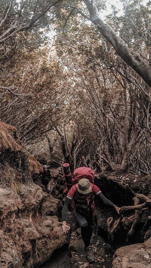 2. Hantu Gendong: Makhluk Tak Kasat Mata