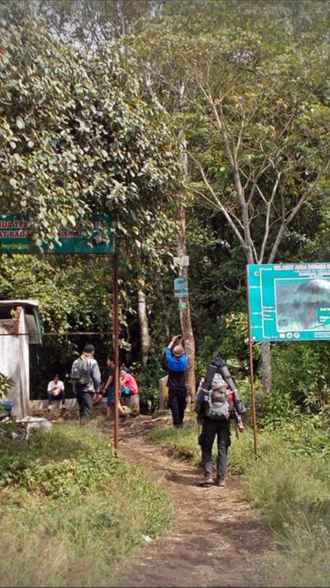 6. Pintu Rimba: Perbatasan dengan Nuansa Mistis