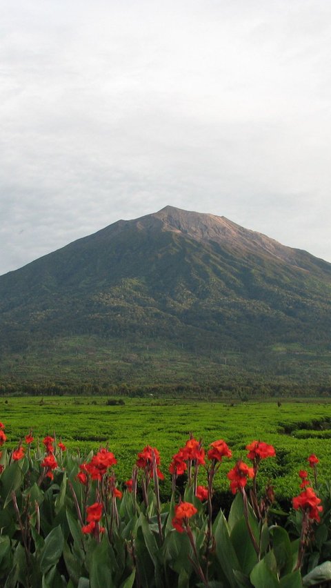 Dalam kesemuanya, Gunung Kerinci tidak hanya memukau dengan pemandangannya yang indah, tetapi juga dengan keberadaan mitos dan legenda yang menambahkan lapisan misteri pada gunung tertinggi di Pulau Sumatra ini.