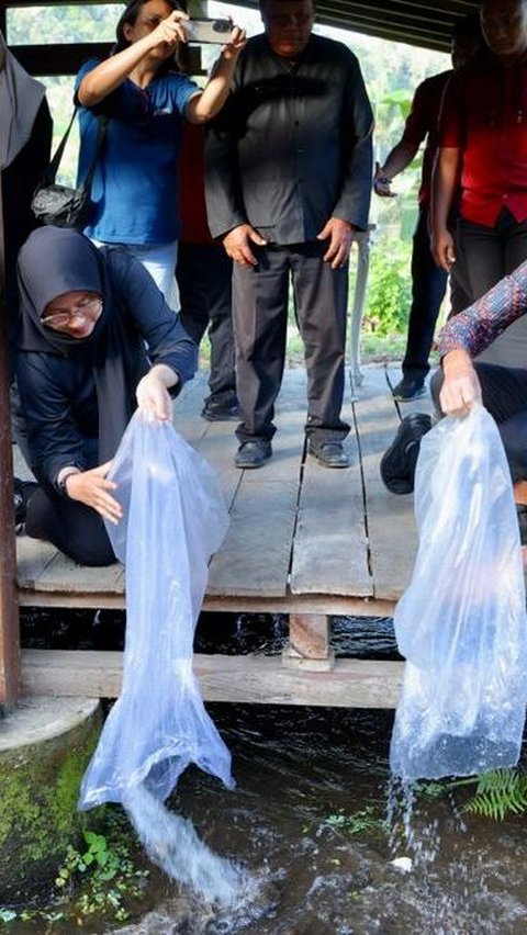 Sungai Watch Sebar Jaring Penghalang Sampah di 23 Sungai Banyuwangi, Target 100 Jaring