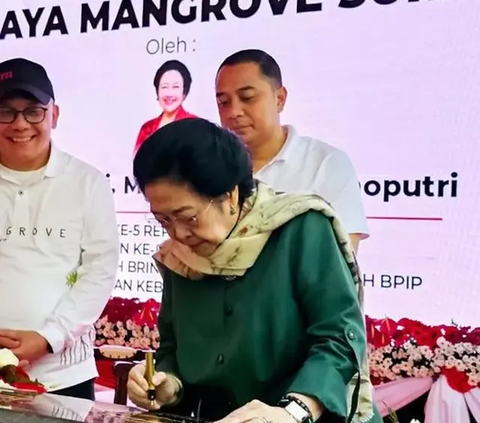 VIDEO: Megawati Gregetan Sebut KPK Tak Efektif 