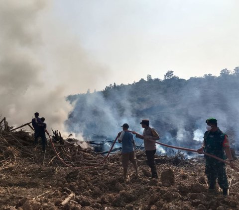 Ratusan Ha Lahan di Sumsel Terbakar, Diduga Ada yang Dipicu Puntung Rokok Dibuang Sembarangan