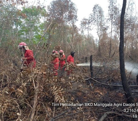 Ratusan Ha Lahan di Sumsel Terbakar, Diduga Ada yang Dipicu Puntung Rokok Dibuang Sembarangan