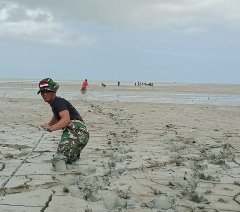 Tetapi, dangkalnya pantai membuat perahu tak bisa mendekati bibir pantai. Perahu terjebak dalam lumpur yang mengeras.