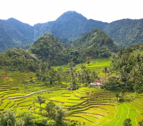 Intip Daya Tarik Desa Purwabakti di Bogor, Suasananya Bikin Betah