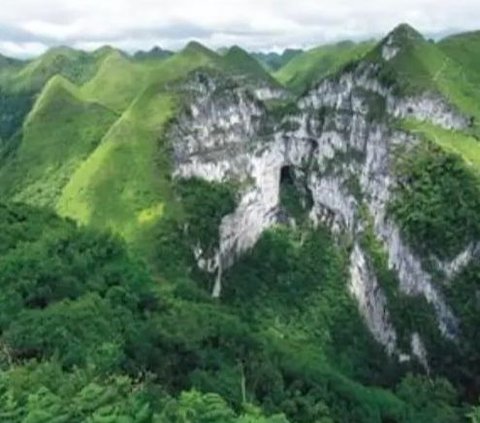 Hutan Kuno Sangat Luas Tersembunyi dalam Lubang Sedalam Hampir 200 Meter,  Ditemukan Banyak Tumbuhan Langka