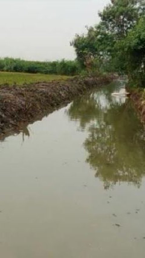 Petani Bekasi Apresiasi Bantuan Normalisasi Irigasi dari Kementan