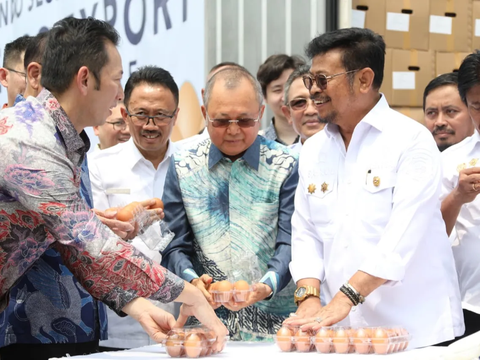 Menyusul Karkas Ayam Beku dan DOC, Indonesia Berhasil Ekspor Telur ke Singapura