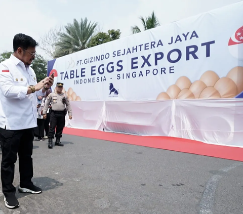 Menyusul Karkas Ayam Beku dan DOC, Indonesia Berhasil Ekspor Telur ke Singapura