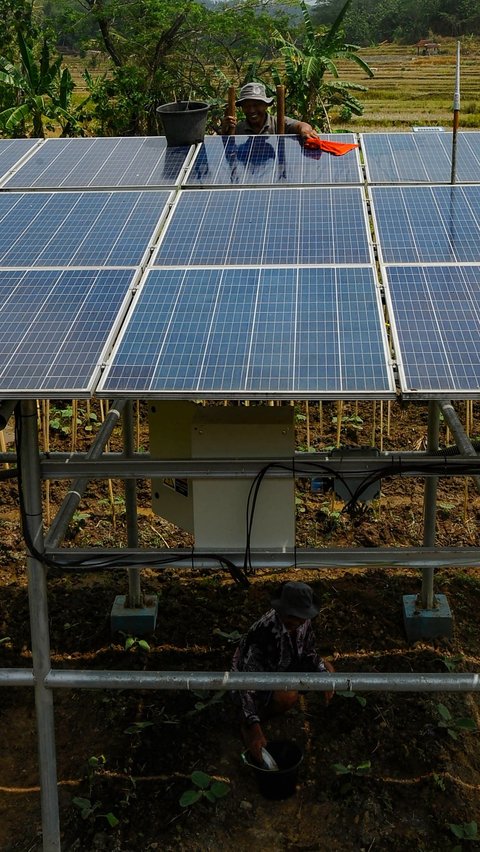 Semenjak adanya pembangkit listrik tenaga surya ini para petani dapat melakukan panen padi dua kali dalam setahun yang sebelumnya hanya setahun sekali.