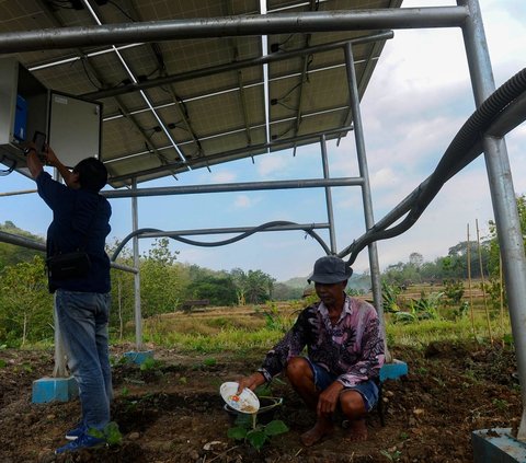 Seorang petani beraktivitas melakukan penyiraman saat Petugas dari Green Energy Nusantara Mandiri sedang melakukan pengecekan pada salah satu alat elektronik pada panel surya.