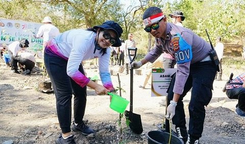 Selain menanam bibit pohon, para delegasi AMMTC juga menikmati keindahan alam dari Labuan Bajo serta pengetahuan seputar habitat dari hewan komodo di Pulau Rinca tersebut.