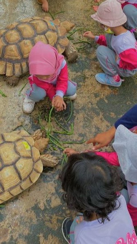 Mengunjungi Jogja Exotarium, Kebun Binatang Mini dengan Berbagai Wahana Menarik