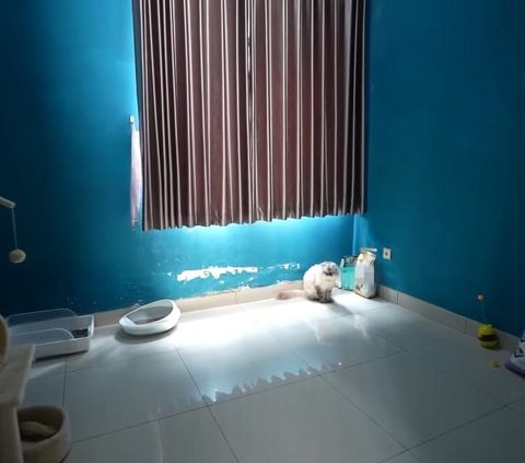 Potret Rumah Komika Dicky Difie, Bergaya Minimalis 2 Lantai Ada Kamar Khusus Kucing