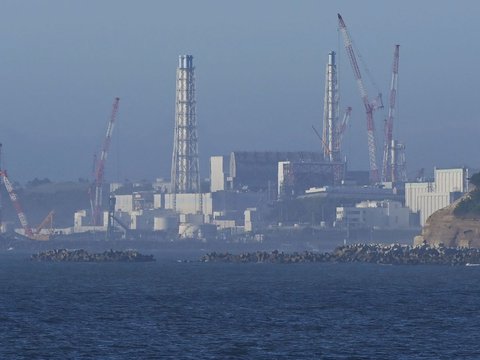 FOTO: Gelombang Protes Menentang Jepang Buang Limbah Nuklir Fukushima ke Laut Meluas, Korea Selatan hingga Hong Kong Turut Demo