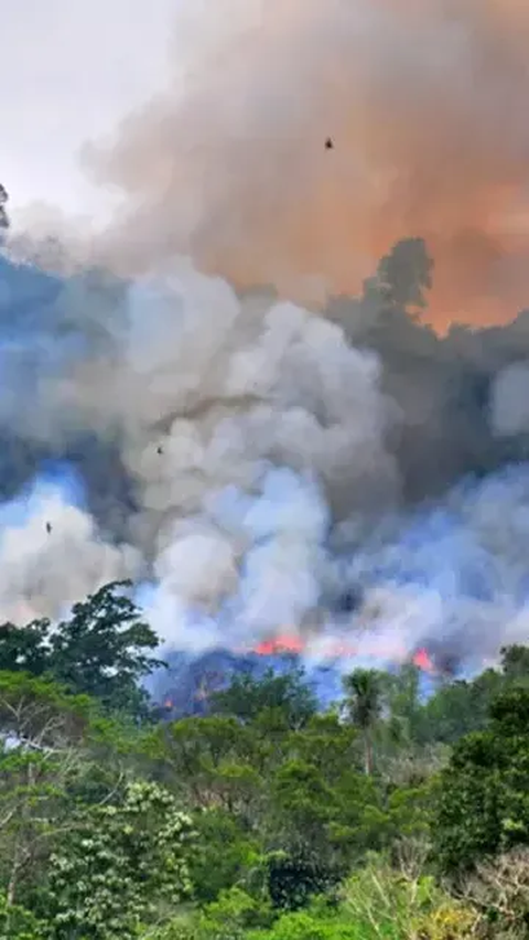 Karhutla Sumsel Meluas, Api Bermunculan di Wilayah Tiga Kabupaten