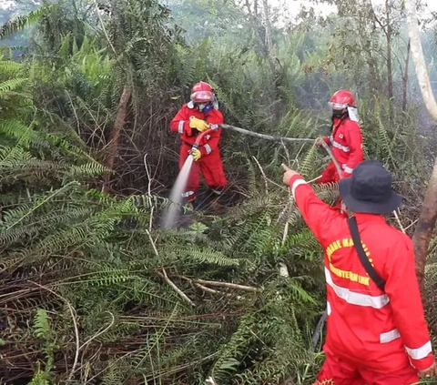 Karhutla Sumsel Meluas, Api Bermunculan di Wilayah Tiga Kabupaten