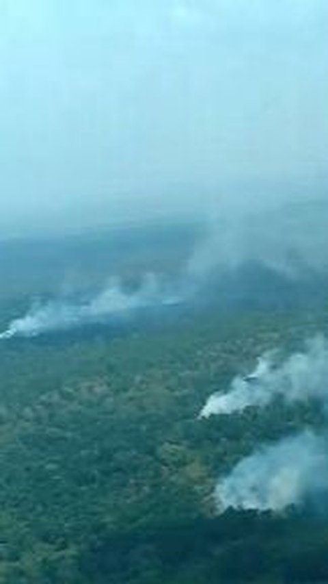 Ketika pemadam fokus bekerja di dua kabupaten itu, kebakaran lahan justru terjadi di daerah lain, yakni di Banyuasin. Penguatan tim pun dilakukan agar kebakaran tidak semakin meluas.