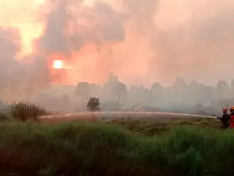 Karhutla Sumsel Meluas, Api Bermunculan di Wilayah Tiga Kabupaten