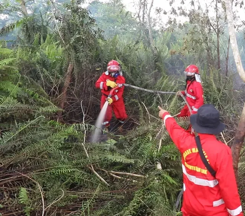 Kebakaran hutan dan lahan di Sumatera Selatan terus meluas bersamaan dengan puncak musim kemarau. Beragam upaya dilakukan namun api tak kunjung padam.