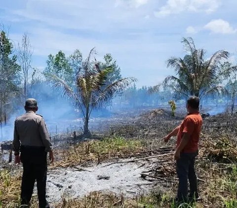 Karhutla di Sumsel Tak Kunjung Padam Meski 'Dihujani' 18,1 Juta Liter Air, Ini Penyebabnya